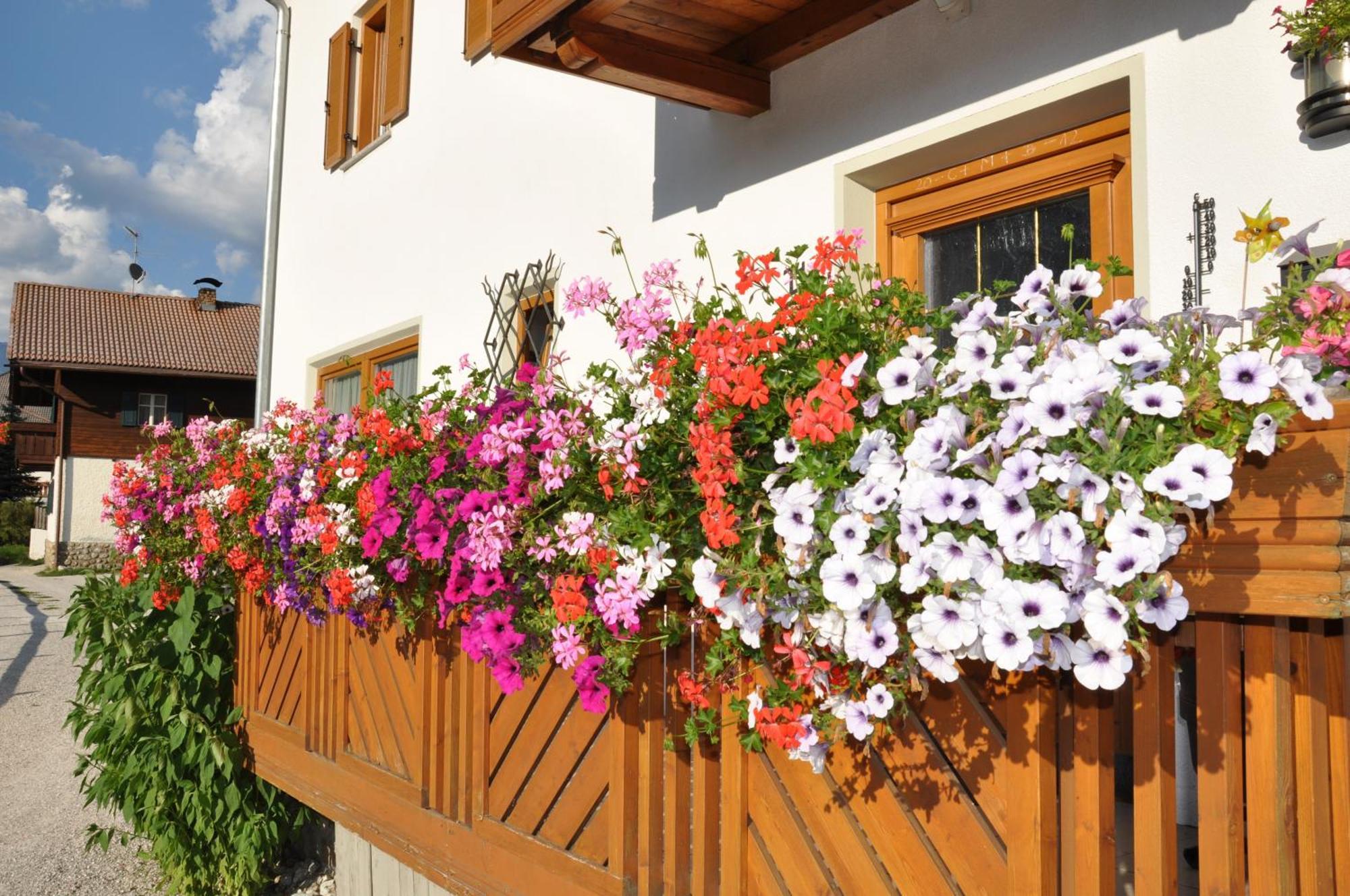 Appartements Wiesenheim Oberrasen Exterior foto